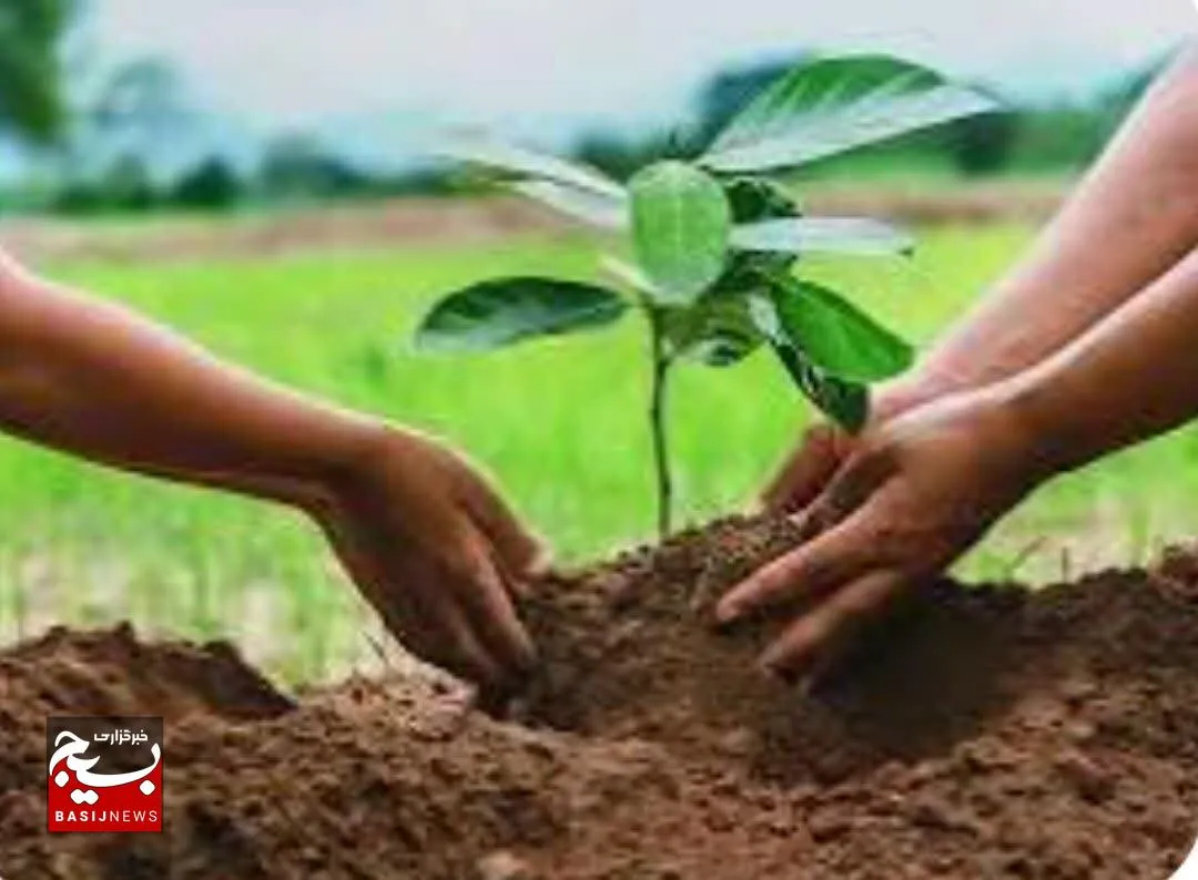 دعوت به مشارکت در روز درختکاری؛ گام به سوی آینده‌ای سبزتر در بوستان کرامت