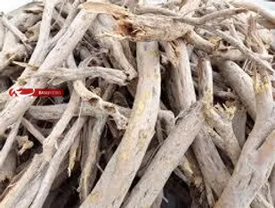 سودجویان منابع طبیعی در شاهرود ۲.۵ میلیارد ریال جریمه شدند