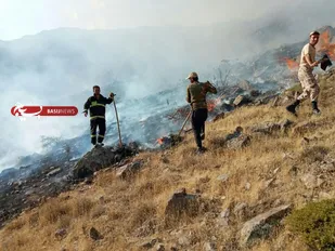 آتش سوزی منابع طبیعی طارم مهار شد