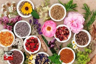 کارآفرینی نوین در ساوه/ ۵ سال زمان برای احیای سبک زندگی اسلامی با طب سنتی گذاشتم