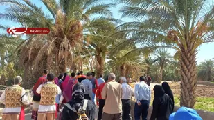 جشنواره نخل و خرما طرود به روایت تصویر