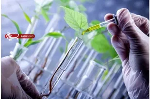 نخستین آزمایشگاه آب و خاک جنوب خراسان رضوی در تربت حیدریه به بهره برداری رسید
