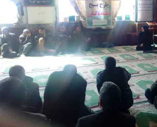 کارگاه آموزشی آفات و بیماری&zwnj;های شایعه کشاورزی در مجن+ تصاویر