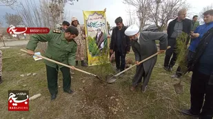 کاشت ۲۰۰ اصله نهال توسط سپاه سردشت