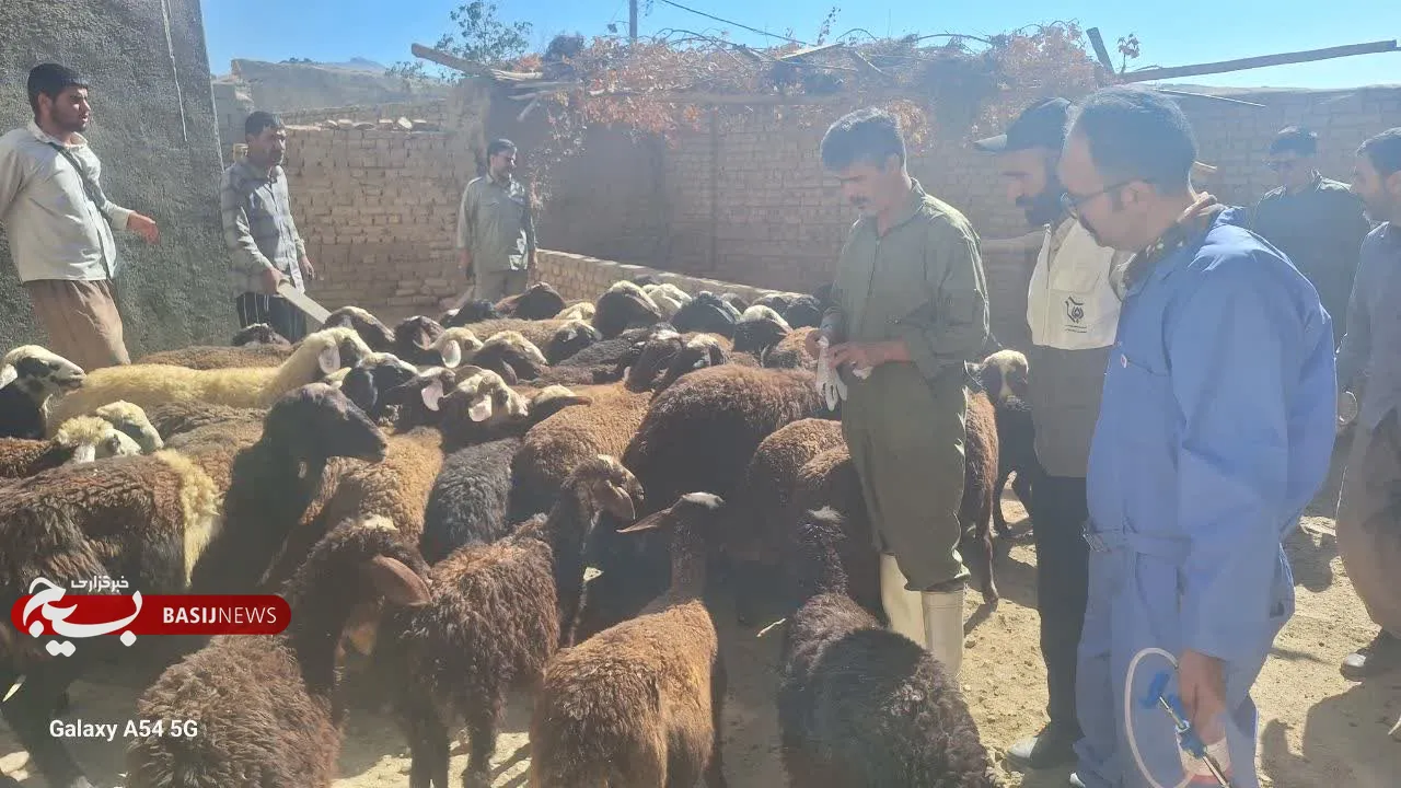 رزمایش تخصصی دامپزشکی و کشاورزی جهادی فاطمی ۶ با واکسیناسیون ۱۶۵۰ رأس دام سبک و سم‌پاشی کامل روستای محروم کوشکی علیا در شهرستان بروجرد برگزار شد.