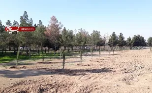 اراضی ۴۰ هکتاری جنگلکاری به شهرداری کهریزک واگذار می شود