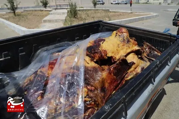 معدوم‌سازی یک لاشه گاو در زاهدان