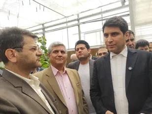 گلخانه قباسرخ بیجار تا پایان سال افتتاح شود