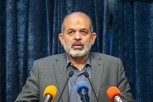 حمایت از تولید داخلی، سیاست دولت است