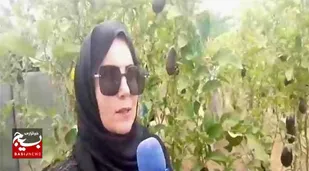 اشتغال&zwnj;زایی و توسعه پایدار در شهرک امام رضا(ع)شهرستان مانه به همت یک زن کارآفرین