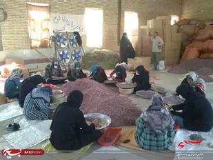 کارگاه صنایع تبدیلی گیاهان جهت ایجاد اشتغال توسط حوزه خواهران نرگس