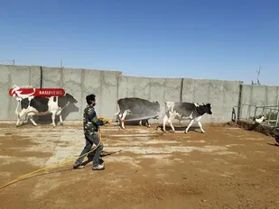 برگزاری اردوی جهادی سم پاشی در منطقه بسطام