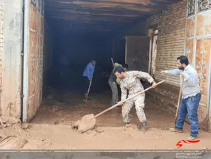 سیل در بارده