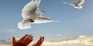آزادی ۸۰ زندانی در اجرای دستورالعمل کاهش جمعیت کیفری