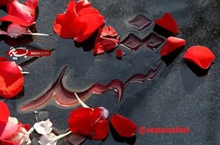 پیکر مطهر یکی از شهدای مفقودالاثر شاهرود شناسایی شد
