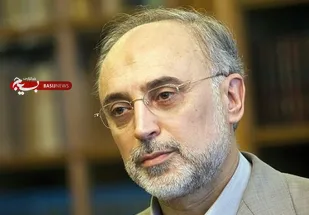 نگرانی صالحی از روزهای سخت برجام نشانه محکم&zwnj; نبودن متن است
