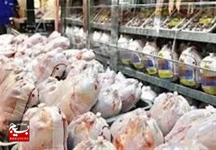 پایداری بازار مرغ و مایحتاج ضروری مردم در اردبیل