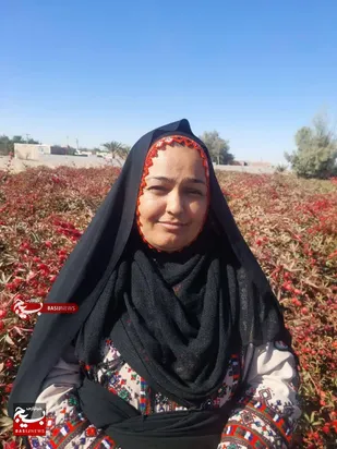 چای ترش، جرقّه&zwnj;ای که روستای گزسردی را متحول کرد