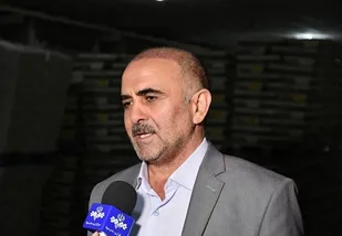 توزیع مرغ منجمد در آذربایجان شرقی با همکاری کشتارگاه&zwnj;ها