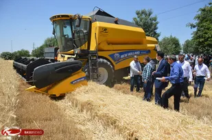آیین شکرگزاری و جشن برداشت گندم برای نخستین بار در شهرستان ری برگزار شد