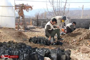 عزم راسخ سازمان بسیج جامعه کشاورزی سپاه فتح برای احیای جنگل های زاگرس