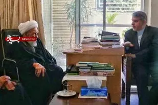 وزیر فرهنگ و ارشاد اسلامی با آیت الله ناصری دیدار کرد
