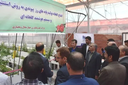 افتتاح گلخانه تولید گل رز در چهارمحال  بختیاری