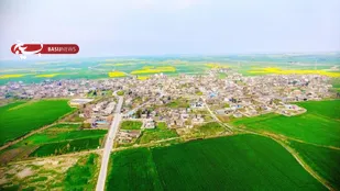 روستایی که به طلای سفید شهرت دارد