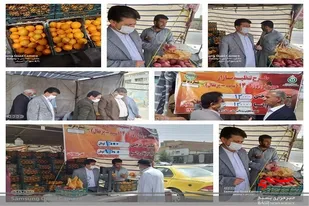 آغاز طرح توزیع میوه تنظیم بازار شب عید ۱۴۰۱در استان سیستان و بلوچستان