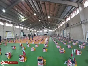 هفت هزار بسته معیشتی بین نیازمندان ایلامی &zwnj;توزیع شد
