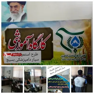 نخستین کارگاه آموزشی طرح استمرار کلینیک دامپزشکی در سمنان برگزار شد