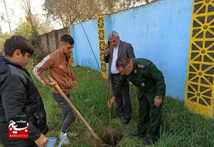 درختکاری در مدرسه امام حسن (ع) جویبار