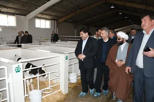 افتتاح گاوداری صنعتی شیری ۵۰۰ راسی در بخش ممقان شهرستان آذرشهر