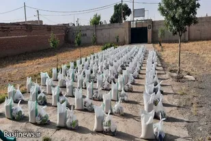 برگزاری بیست و یکمین رزمایش کمک مومنانه حوزه شهید صفایی قهاوند