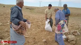 اجرای طرح &laquo;همگام با کشاورزان&raquo; از سوی بسیجیان در بهبهان