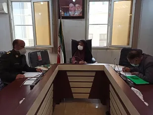 محتوای فضای مجازی روستاهای بخش مرکزی ری کنترل و پایش می شود