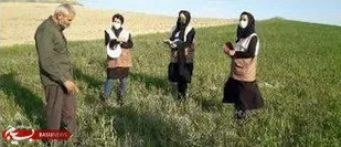 تلاش خواهران بسیج مهندسین کشاورزی آذربایجان غربی در حفظ امنیت غذایی