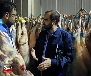 ۹۲ گروه دامپزشکی در خوزستان بر عرضه و ذبح بهداشتی و شرعی دام در عید سعید قربان نظارت می&zwnj;کنند