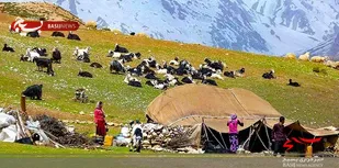 ایستگاه&zwnj;های کنترل کوچ عشایر در گلوگاه&zwnj;های ورودی&zwnj; مشگین&zwnj;شهر ایجاد شد