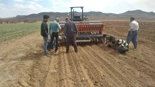 از برگزاری کلاس آموزشی کاشت دارو&zwnj;های گیاهی تا اردوی جهادی در منطقه کلاته خیج